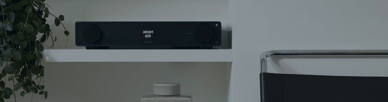 Mark Levinson